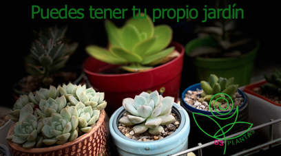 Jardin para no jardineros